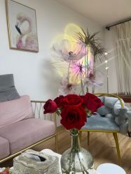 -美肤盾祛痘·问题肌头疗管理中心