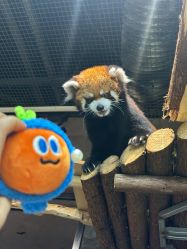 -Zoolung Zoolung动物主题公园(海信广场店)