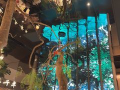 -桂满陇·海市蜃楼·黑金(国金店)