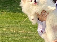 -厦门日月谷温泉渡假村