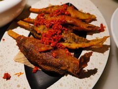 -佬麻雀·剁椒鱼头(京基KK One店)