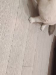-Beauty Nails 美甲美睫皮肤管理