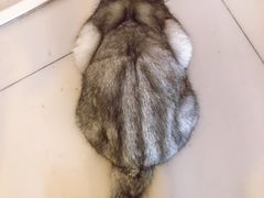-平行世界·猫咖(首经贸店)