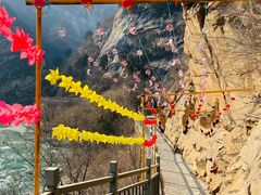 -黑龙潭风景区