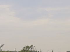 -空港花田景区