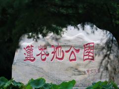 -莲花池公园