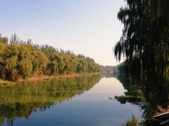 -东郊湿地公园