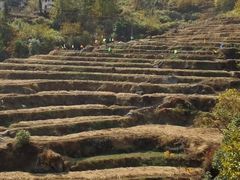 -石台牯牛降景区