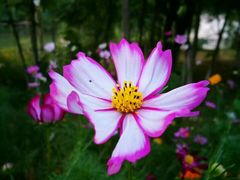 -艾溪湖湿地公园