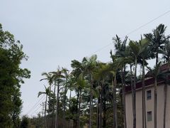 -广东外语外贸大学(白云山校区)