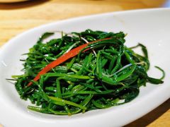 -蒙料·手把肉(望京店)