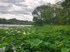 -承德避暑山庄景区