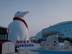-哈尔滨极地公园