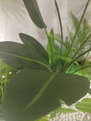 -HEYAN荷妍专业脱毛连锁机构