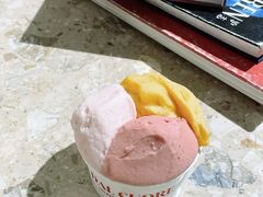 芒果沙棘-Dal Cuore 达可芮冰淇淋(陕西北路店)