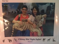 -清迈夜间动物园