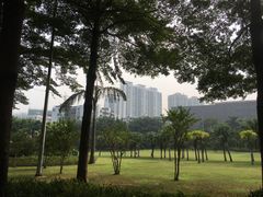 -东风公园