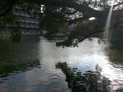 -黄埔古港