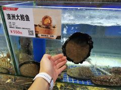 -欢乐海岸美食联盟