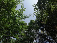 -百林公园-两江幸福广场
