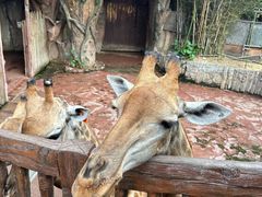 -长鹿旅游休博园