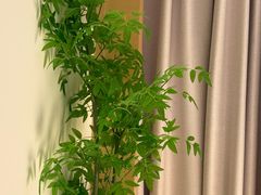 -巴拉吉·SPA·按摩养生馆