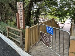 -大湾区中央湿地公园