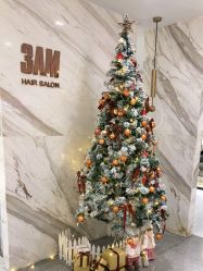 -3AM HAIR SALON烫发染发接发