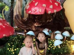 -苏州乐园森林水世界