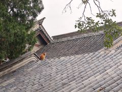 -常熟方塔园