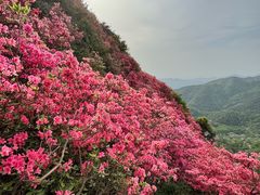 -木兰云雾山