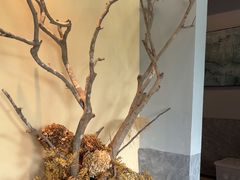 -宴武夷·匠心闽味(印象大红袍店)