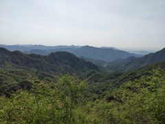 -大岭沟猕猴桃谷风景区