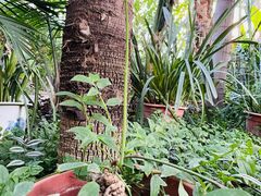 -国家植物园南园