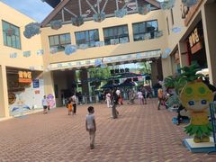 -苏州乐园森林水世界