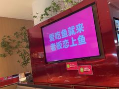 -老板恋上鱼(恒隆广场店)