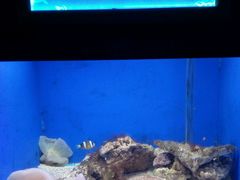 -常州海昌海洋探索馆