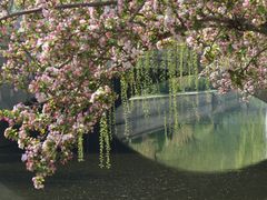 -海棠花溪(元大都城垣遗址公园)