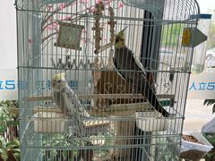 -心元儿童之家(萧山校区)