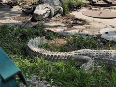 -秦皇岛野生动物园