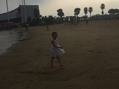 -碧海金沙