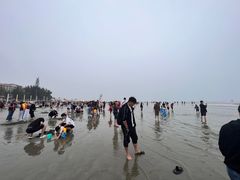 -江山半岛白浪滩景区