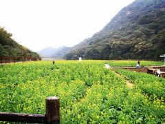 -广州市石门国家森林公园