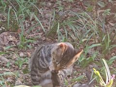 -杭州半山国家森林公园