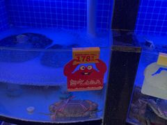 -七欣天香辣蟹火锅(闵行浦江欢乐颂店)