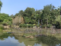 -中国科学院西双版纳热带植物园