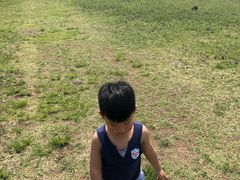 -恋山坝上草原