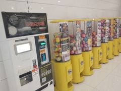 -南宫温泉水世界