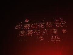 -南宁花花大世界景区