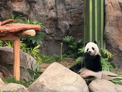 -香港海洋公园